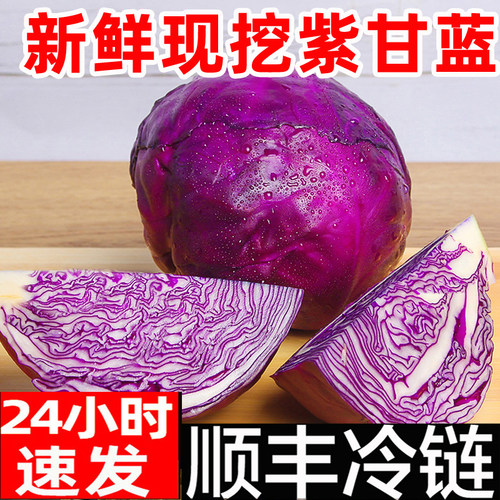 顺丰紫甘蓝新鲜紫包菜球