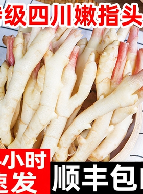 嫩姜新鲜指头仔姜顺丰子姜红芽姜生姜非云南四川小黄姜泡老醋鲜姜
