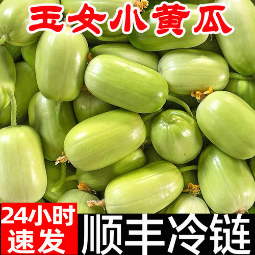 顺丰现摘玉女拇指小黄瓜脆甜生吃
