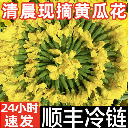 顺丰包邮新鲜小黄瓜花鲜嫩