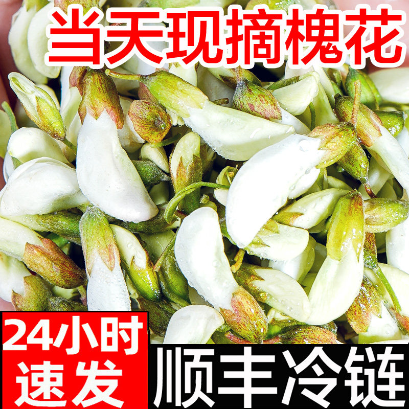槐花新鲜杨槐花骨朵花苞顺丰4斤2026现摘杨榆钱野生菜钱串子现摘