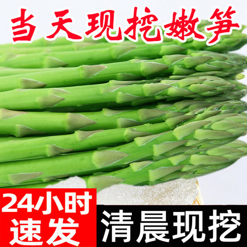 头茬特级新鲜绿芦笋现挖顺丰速发