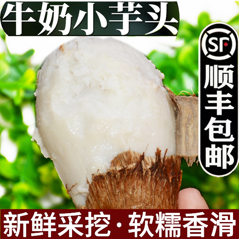 新鲜山东牛奶毛芋头顺丰粉糯香甜