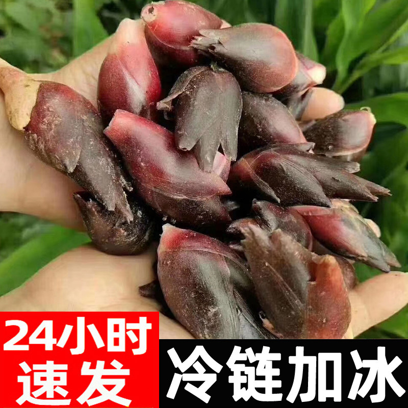 阳荷姜洋荷姜3斤新鲜蔬菜阳藿胡姜包邮当季农家特产茗笋蘘荷