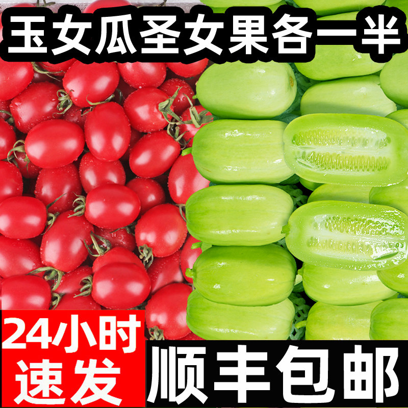 玉女瓜新鲜小番茄水果小黄瓜5斤现摘拇指小青瓜小柿子生吃顺丰,水产肉类/新鲜蔬果/熟食,黄瓜,淘宝优惠券,粉丝福利购,淘宝优惠卷