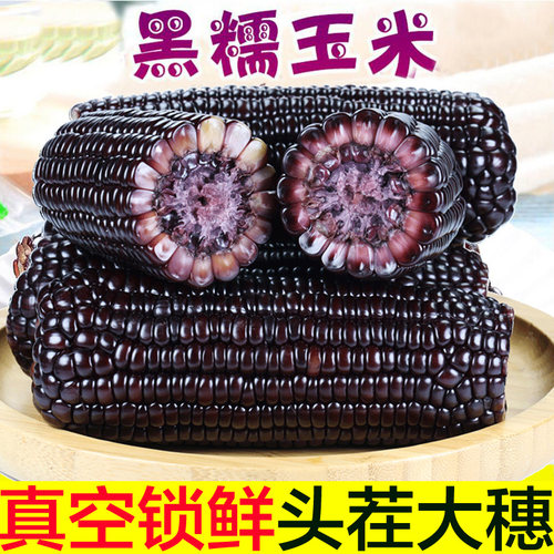 东北黑糯玉米10根包邮紫嫩苞米粒