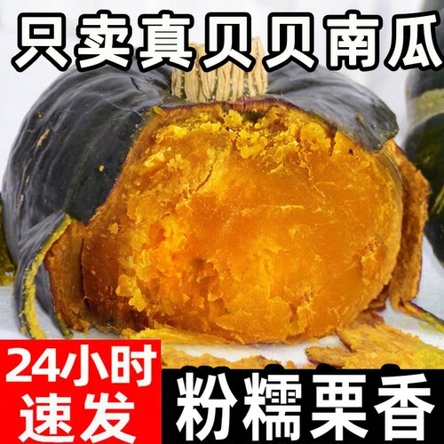 真贝贝小南瓜板栗味粉糯香甜