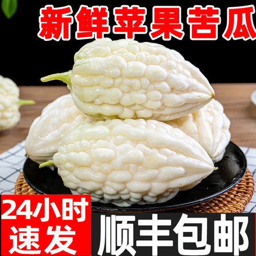 苹果苦瓜5斤新鲜圆苦瓜