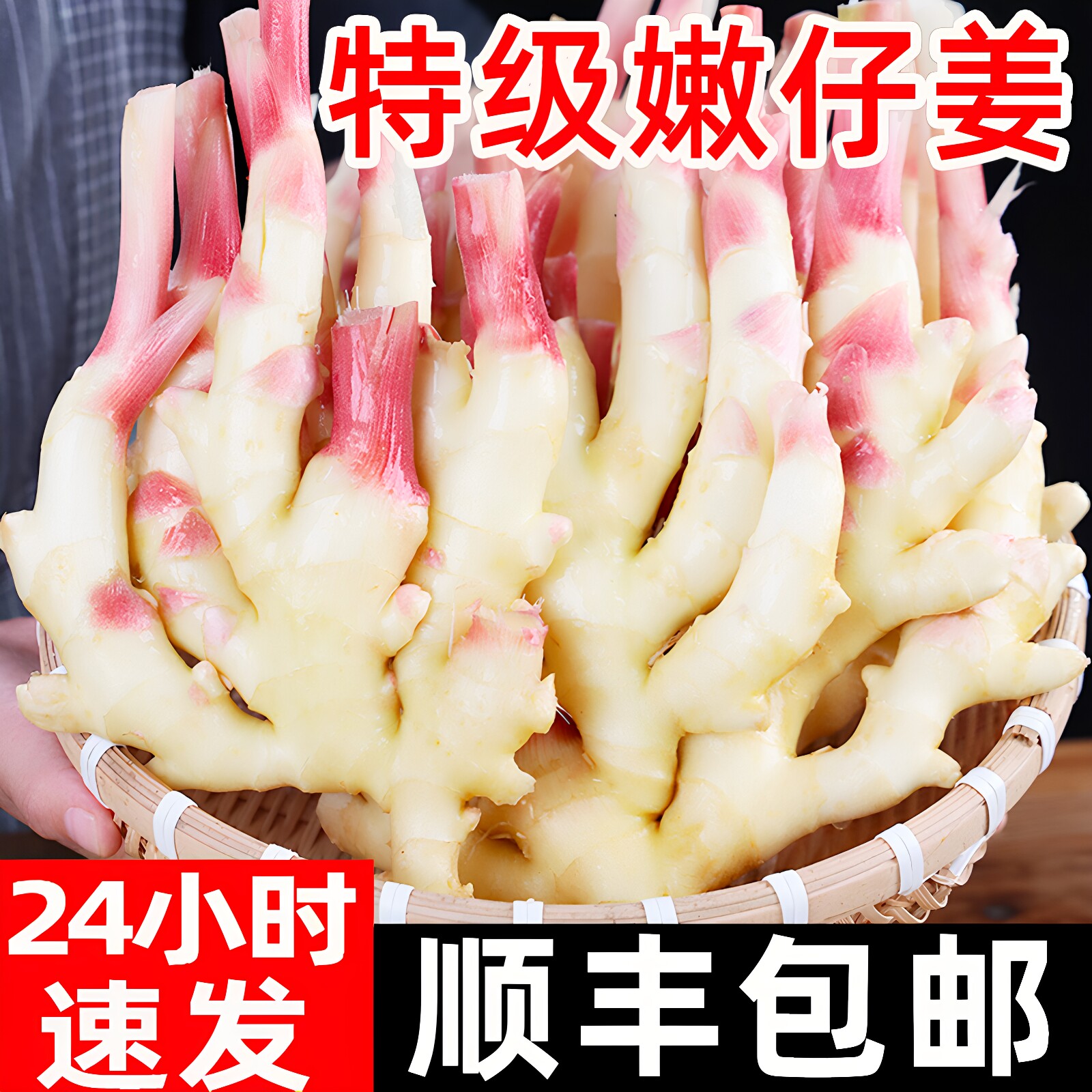 顺丰山东嫩姜特级现挖大仔姜
