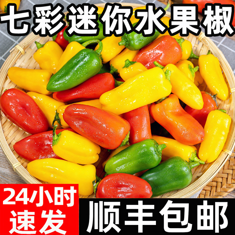 山东水果彩椒当季新鲜五彩甜椒生吃顺丰红灯笼小辣椒沙拉蔬菜包邮