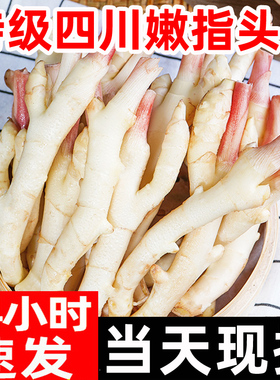 嫩姜新鲜指头仔姜顺丰子姜红芽姜生姜非云南四川小黄姜泡老醋鲜姜