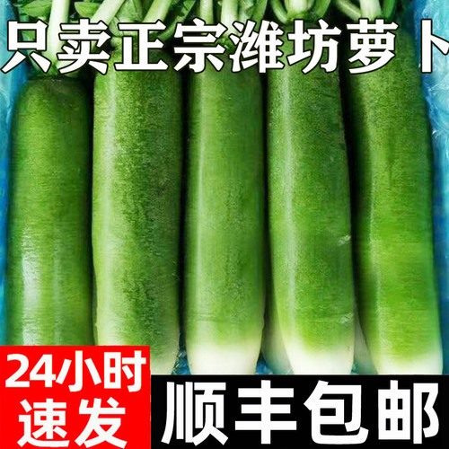 潍坊水果萝卜新鲜甜脆水果型顺丰青冰淇淋凤梨生吃正宗青绿胡萝卜 - 封面