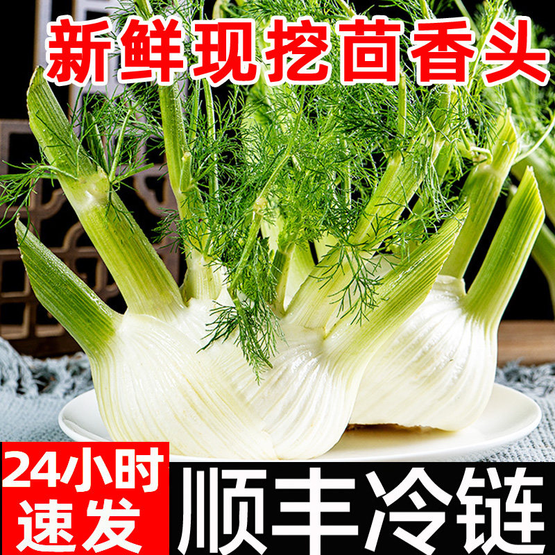 新鲜茴香头包邮茴香根茴香球茎西餐料理香料蔬菜沙拉现挖顺丰