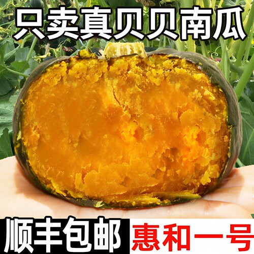 顺丰惠和1号贝贝小南瓜板栗味