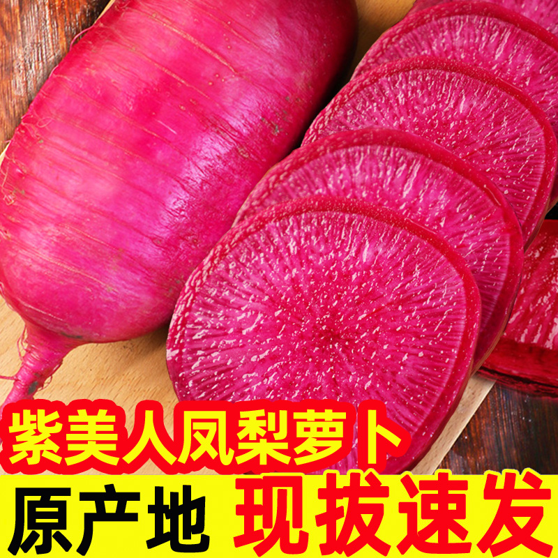 包邮紫美人凤梨水果萝卜现拔
