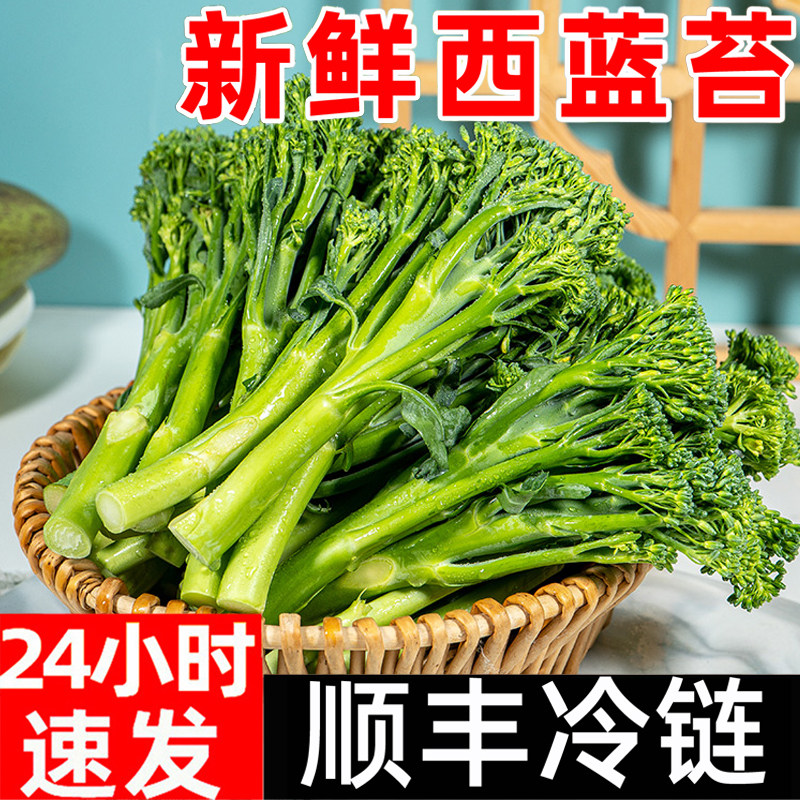 新鲜甜杆西蓝苔顺丰包邮西蓝花笋苔芦笋西兰花苔菜苔蔬菜花菜苔