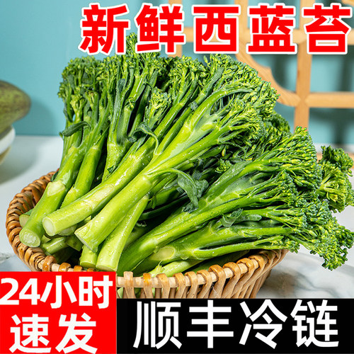 新鲜甜杆西蓝苔顺丰包邮