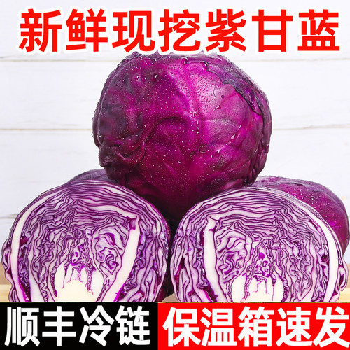 顺丰紫甘蓝新鲜紫包菜球