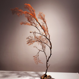深水本港血柳原枝标本摆件高端轻奢办公室客厅书房摆件