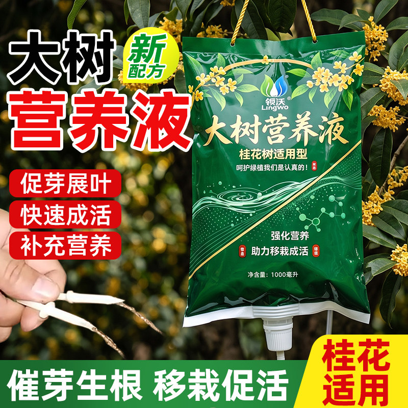 桂花大树木移栽专用植物吊针营养无机肥