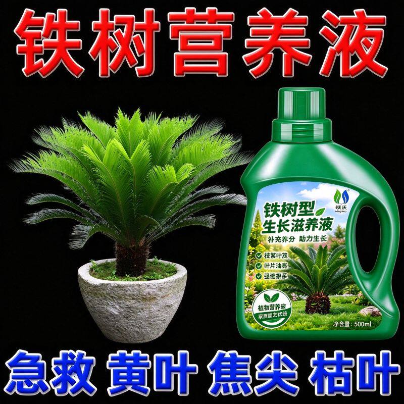【厂家直销】铁树专用型液体肥料叶片浓绿油亮家庭园艺养护通用型
