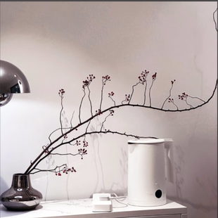 山归来鲜切枝蔷薇果干花水培植物水养插画花卉植物南蛇藤干花植物