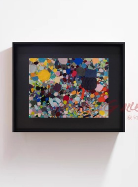 Samia Halaby丨Flowers in the Sky小众装饰画现代艺术高级感挂画