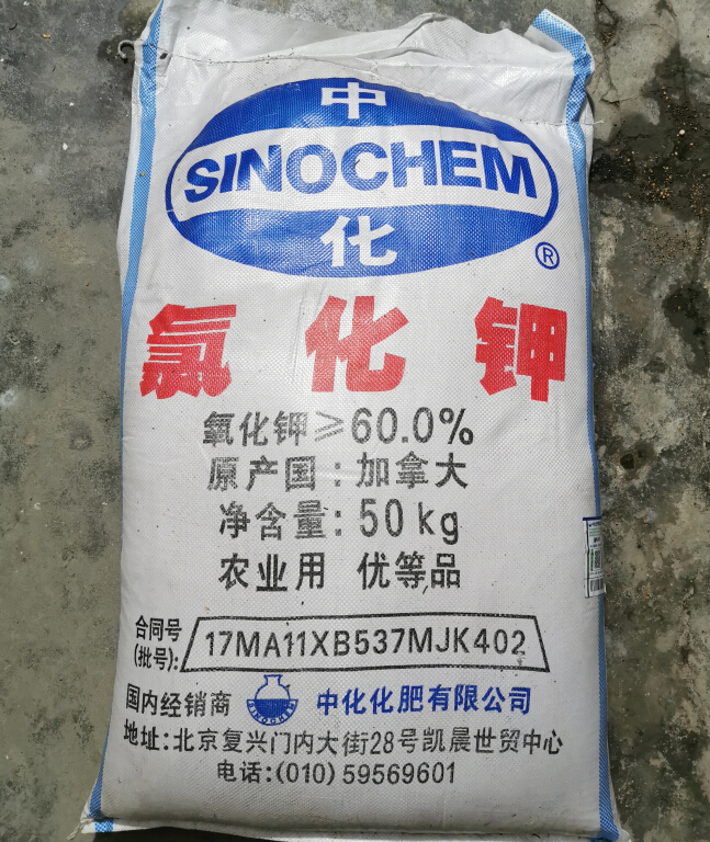 氯化钾肥料水产钾肥农用钾肥花卉植物钾肥果树加拿大进口氯化钾