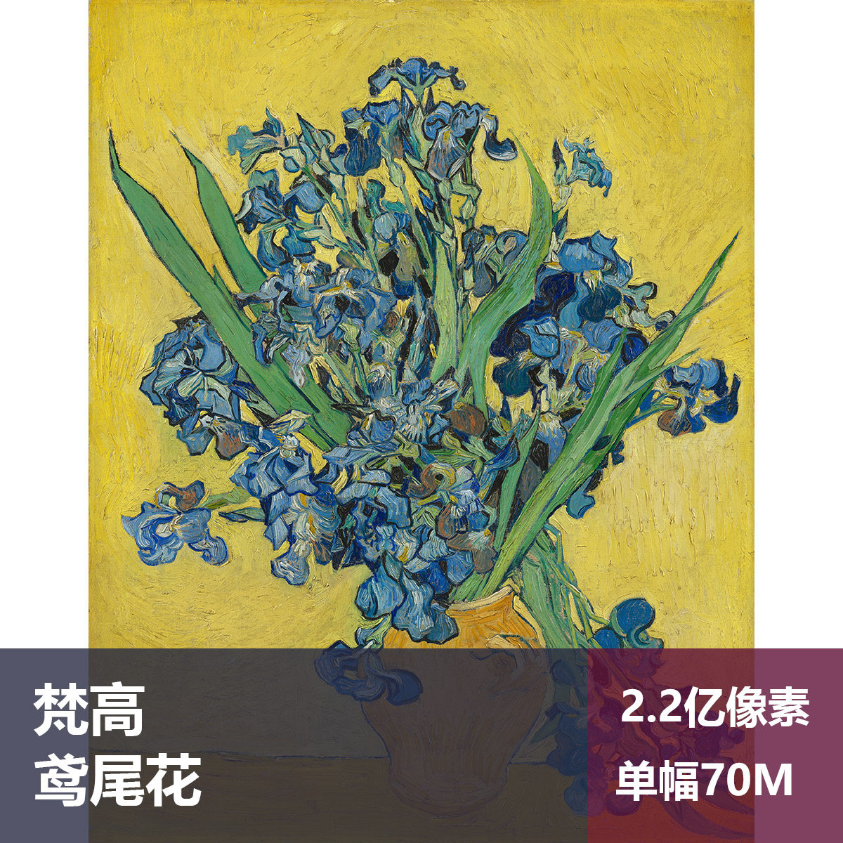鸢尾花梵高高清油画原版作品装饰画喷绘图片素材
