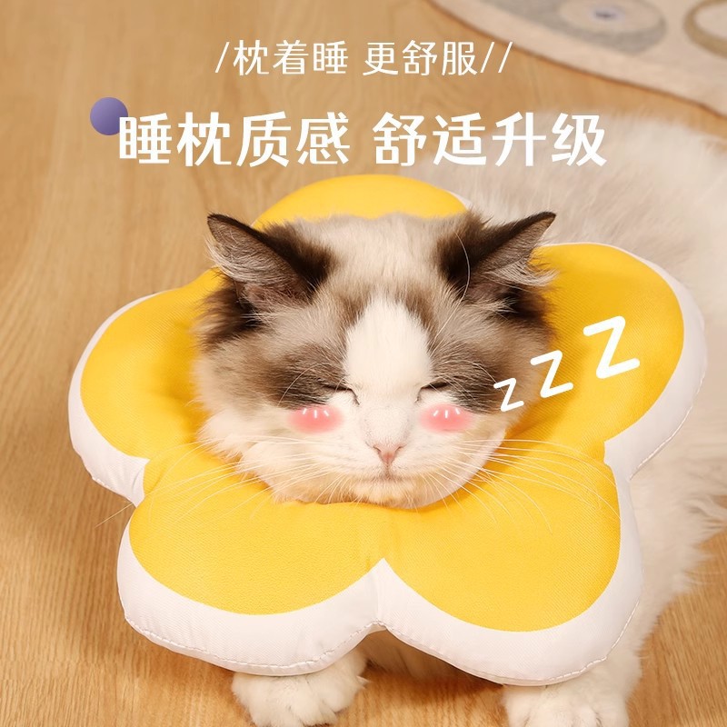AFIAFI伊丽莎白圈猫项圈脖套猫防舔圈猫咪宠物头罩头套防咬宠物