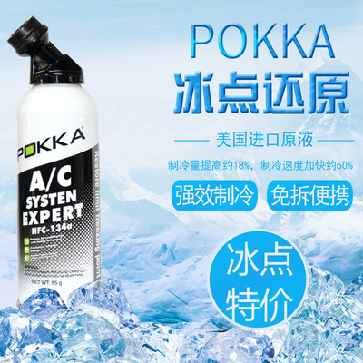 制冷汽车空调NEKPOKKA