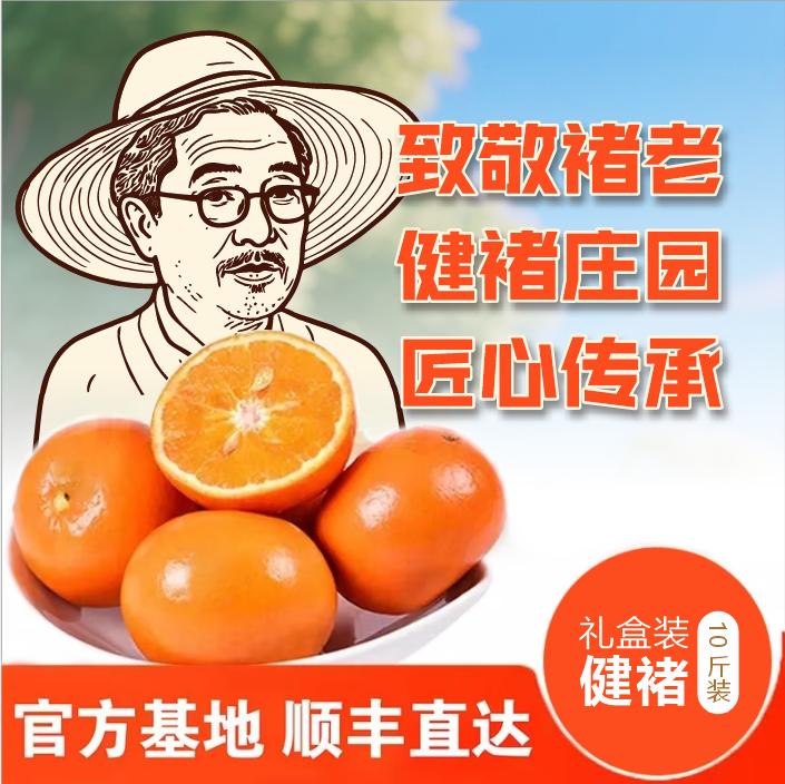 精选珍品哀牢山基地新鲜水果应季水果礼盒健褚橙官方旗舰薄皮柑橘