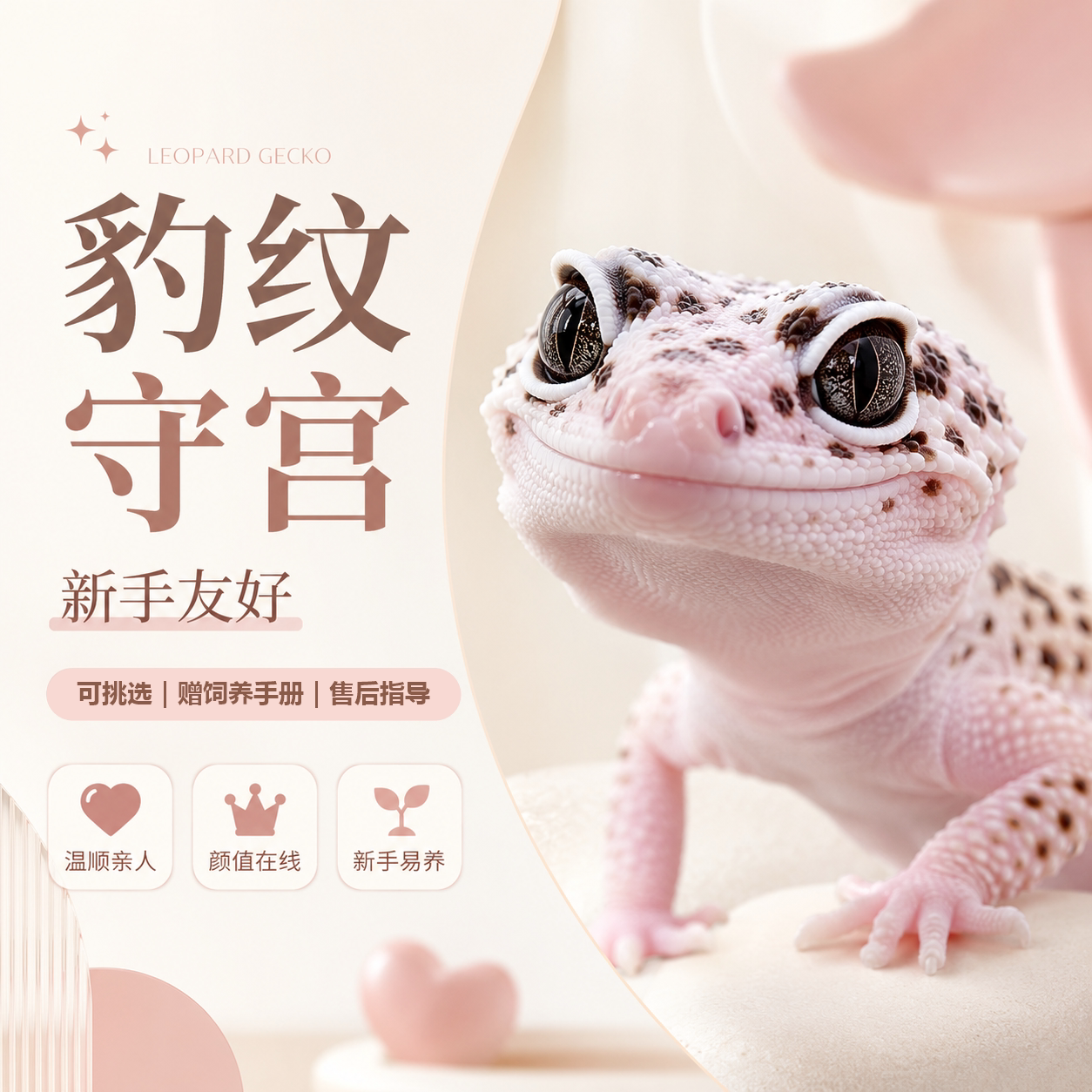 豹纹守宫蜥蜴活体幼崽新手易养温顺不咬人肥尾网红异宠爬宠幼苗