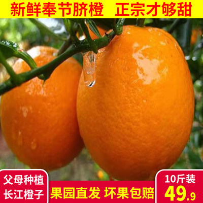 奉节脐橙新鲜当季水果橙子赣南