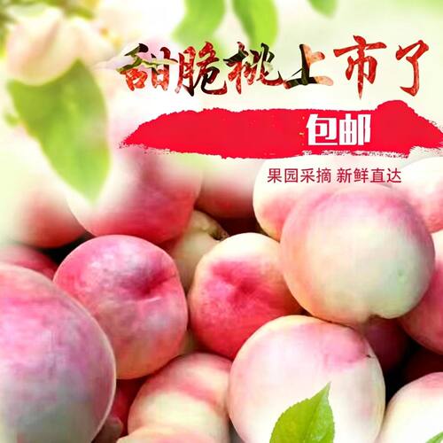 12年老店陕西高原水蜜桃