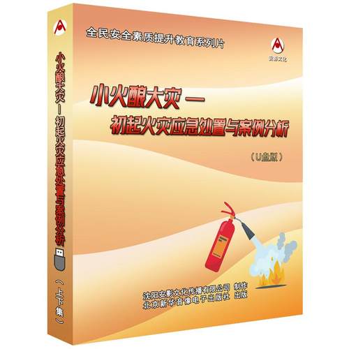 2025年安全月 小火酿大灾---初起火灾应急处置与案例分析U盘