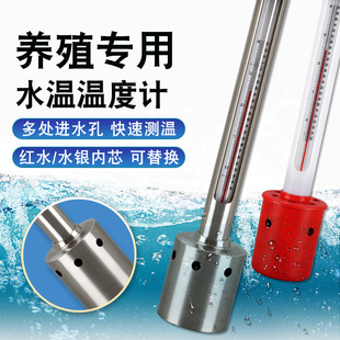 海水水产养殖温度计盐度计高精密红水水银内芯表层水温计淡水海鲜