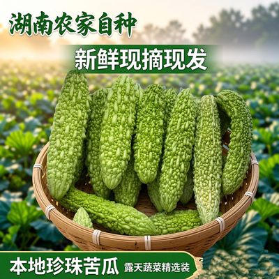 湖南本地新鲜现摘土苦瓜