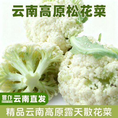 云南松花菜新鲜蔬菜花椰菜农家自种现摘宝宝辅食火锅应季蔬菜
