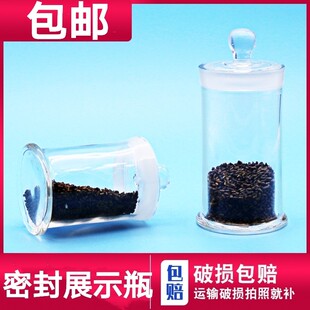 标本瓶玻璃 大规格密封瓶 磨砂口样品瓶 密封展示瓶病理瓶标本瓶