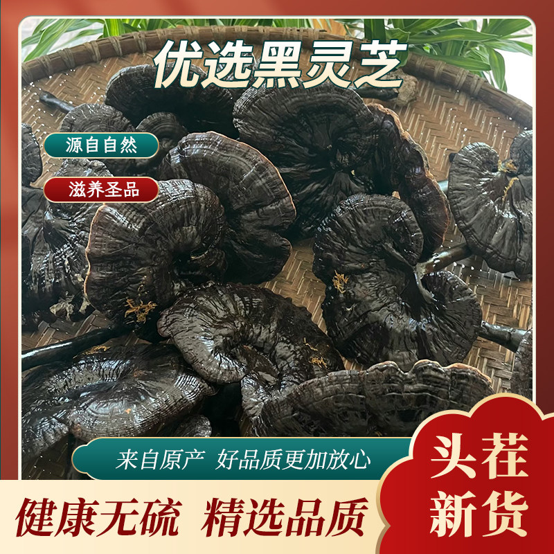 海南黑灵芝王干货天然无硫精选品质健康滋补品仿野生