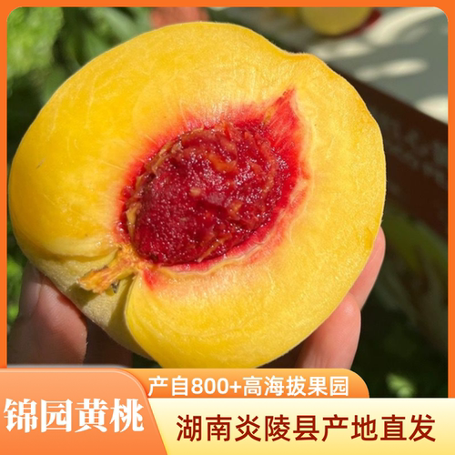 【炎陵黄桃好评畅销榜】