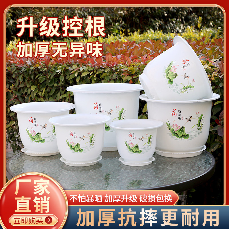 全新款加大号花盆送托盘
