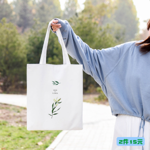 女单肩ulzzang帆布包