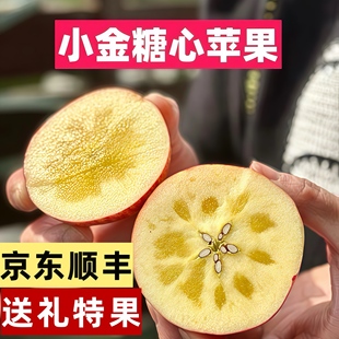 阿坝州苹果汶川茂县理县九寨沟小金糖心苹果四姑娘山小王子5斤10