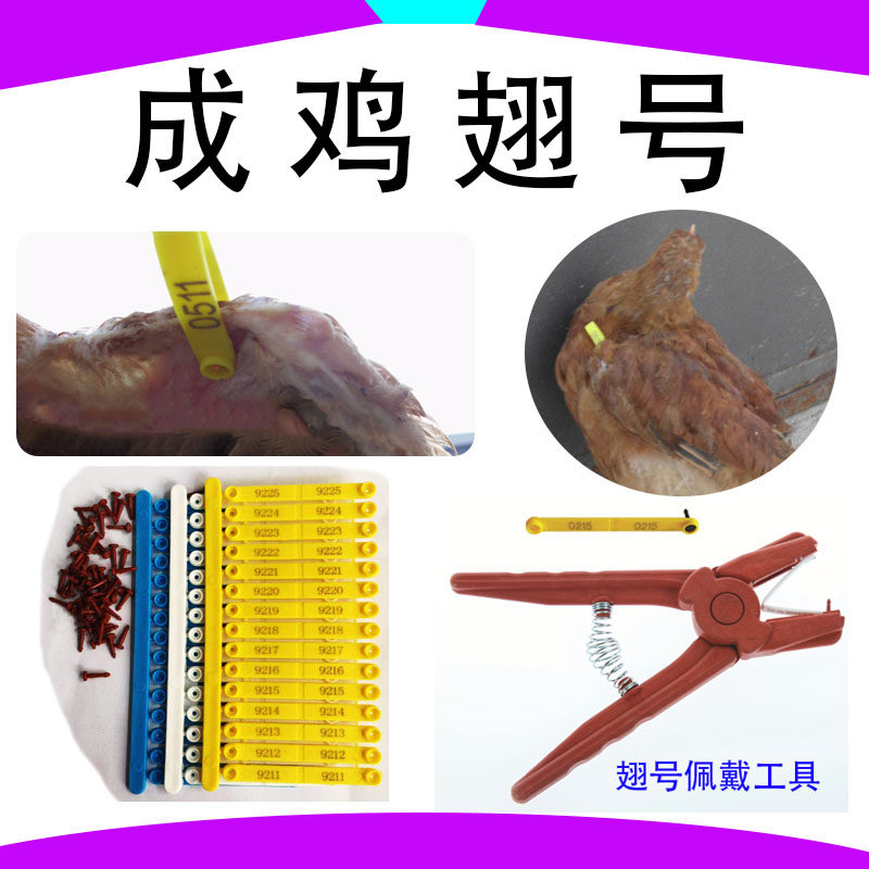 信科农业翅号编码定制