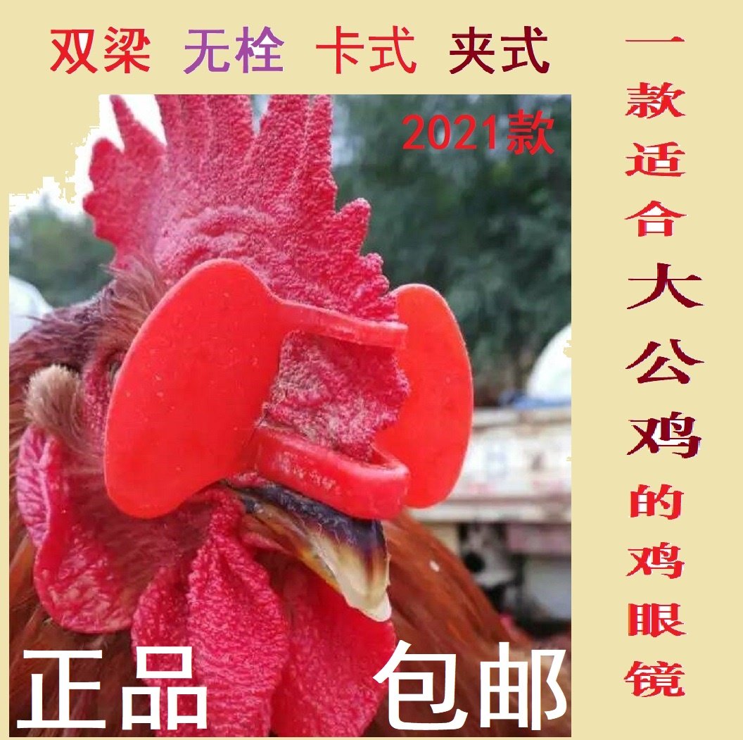 鸡眼镜防止啄毛卡式鸡眼罩鸡嘴卡环鸡鼻环大号中号无栓鸡眼镜啄蛋