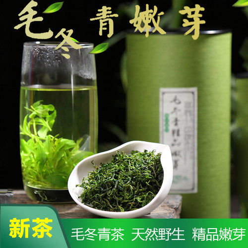 正宗毛冬青云南野生茶正品青山绿水小叶苦丁茶新茶精品嫩芽半斤
