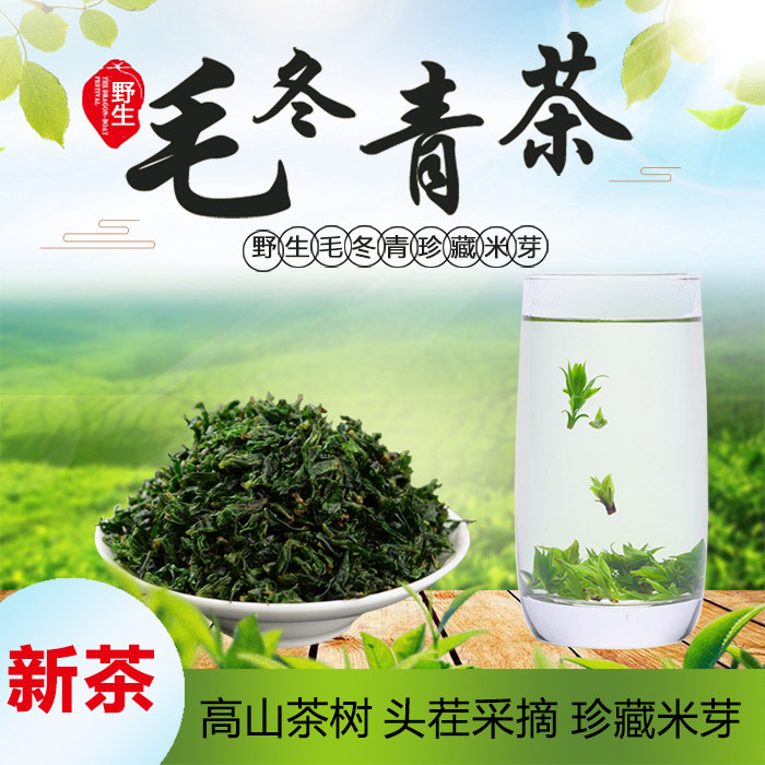 毛冬青茶叶嫩芽春茶米芽尖云南野生青山绿水小叶苦丁100克
