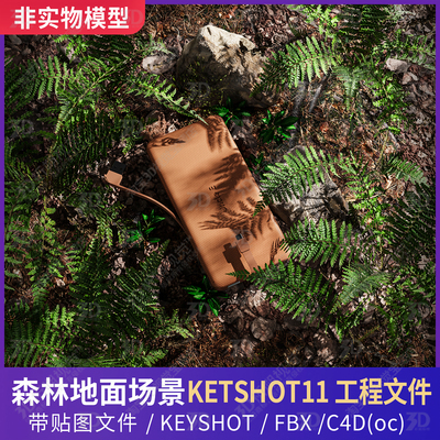KEYSHOT场景森林草地灌木蕨类岩石泥土化妆品美妆洗护C4D三维